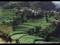 YEMEN Bladi FOR GOOD