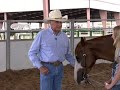 Interview with Kim Estes Interview with Kim Estes
