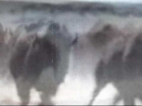 See video