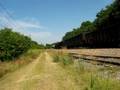 NB UPRR Manifest Train @ South Austin TX