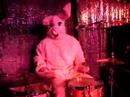 drumming rabbit drumming rabbit