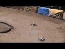 A Few Laps with Joel Hernandez