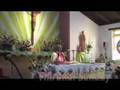 Blessed Alphonsa Mission Thirunal 2007