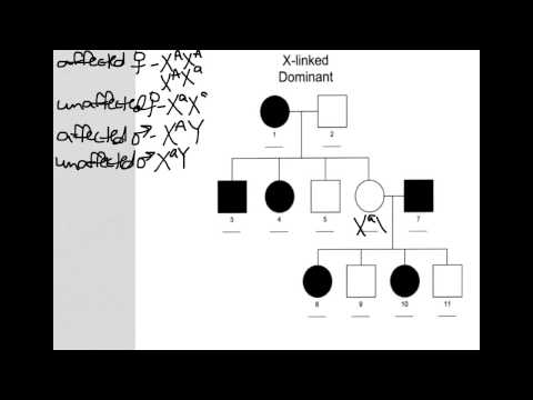 how to determine x linked dominant
