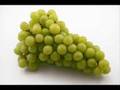 Fruit Salad Song