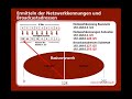 Video-Tutorial IP-Adressierung - Subnetting - Teil 3