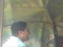 manuel vs  gregorio