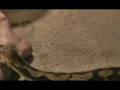 videos de George - 1 .mp4