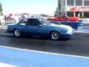 THE BOSS STANG
