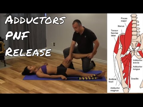 how to perform pnf stretches