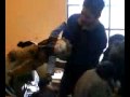juanito v/s carlitox