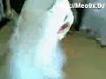 N? Sinh l??ng v?n can m?c áo dài ?ánh nhau N? Sinh l??ng v?n can m?c áo dài ?ánh nhau