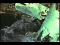 1943 know your enemy  and how to use his weapons!!!  1 of 2