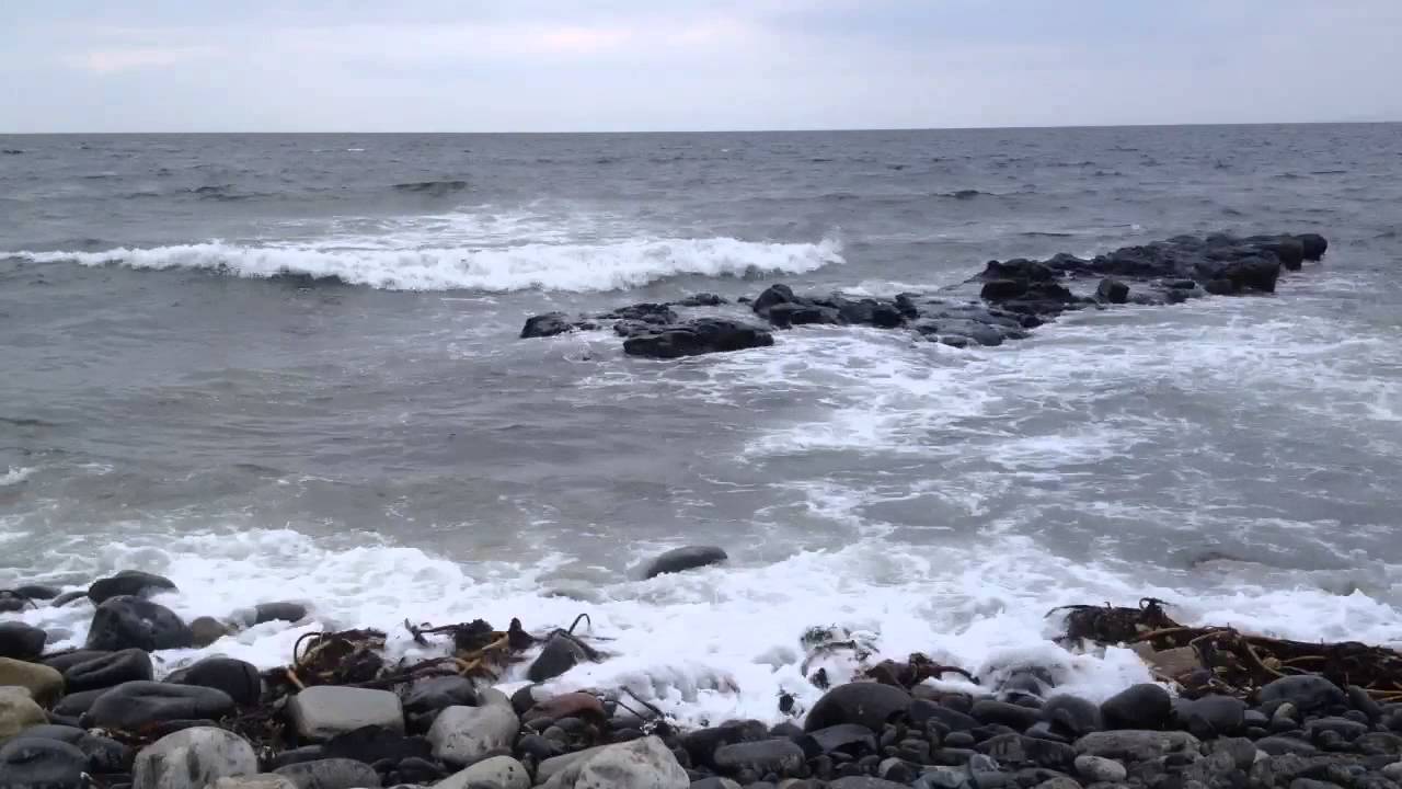 Video Galleries