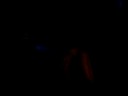 Haunted Beaten Path at Busch Gardens 2008 at Night