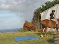Riding Timba over the tarp,