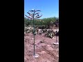 Click here to watch this video Desert Lotus preview 3