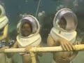 The Beautiful Groovenet Girl Monique Isidro Snuba Diving