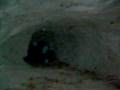 videos de Quinzee.mov