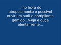 Atropelamento em Curva