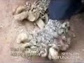 Okropna choroba sk�ry