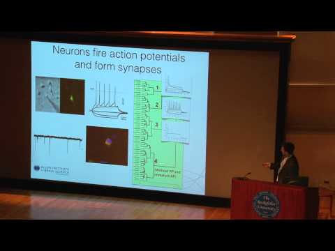 Ricardo Dolmetsch: 2012 Allen Institute for Brain Science Symposium