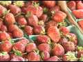 Strawberry Recipes & Tips from The Produce Lady