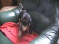 videos de MOV013