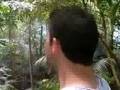 videos de Woodlandcreature Speaks to Winged Woodland Creatures
