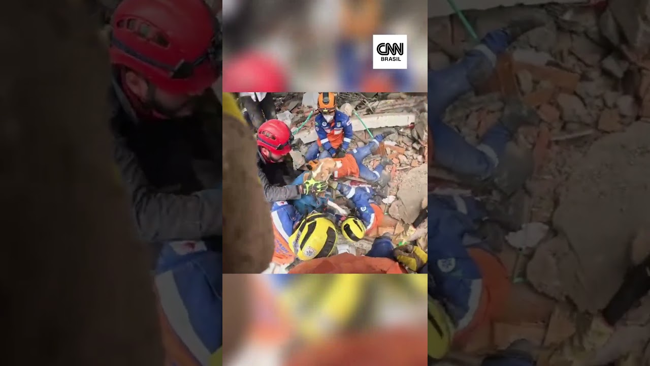 Brasileiros resgatam cachorra após 100 horas em escombros na Colômbia