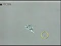 ukraine air show disaster   sukhoi su 27 crash