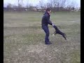 bubu frisbee bubu frisbee