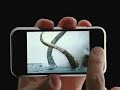 Apple iPhone Ad: Calamari