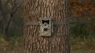 Фотоловушка Bushnell Trophy Cam Aggressor No-Glow