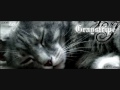 graypaw-ravenpaw-and-firepawa-walk.html