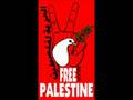 Free Palestine DAM الحرية لفلسطين اغنية راب عربي