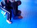 videos de 262.AVI