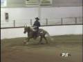 Frank N Smart Reining Second Go