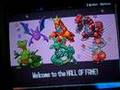 Pokemon Sapphire Team