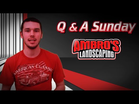 how to use the q camera