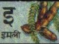 Hindi Alphbets by Vrinda.mpg