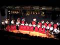 Wilfried Rösch & Böhmischen Freunde - Jehlicka Polka