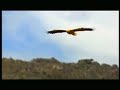 Adventure Tourism in Yemen English Adventure Tourism in Yemen English
