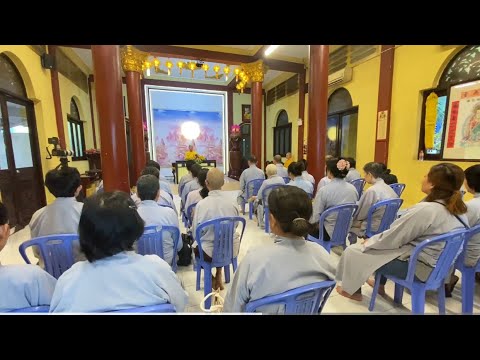 NIKAYA Thiền Quán - Mong Manh Là Đời Sống