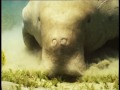 scuba-diving-thailand-similans.html