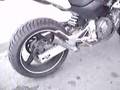 hornet 600 Akrapovic megaphone