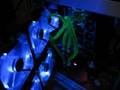 Quad Core 8800 GTX SLi Water Cooled Dream Computer