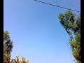 kashmir butterflies