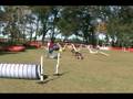 Julie NADAC Touch n' Go Novice Run
