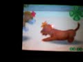 My Nintendogs My Nintendogs
